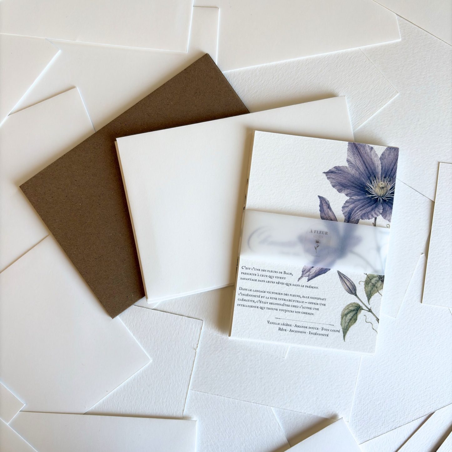 Cartes de correspondance — lot de 8 cartes & enveloppes