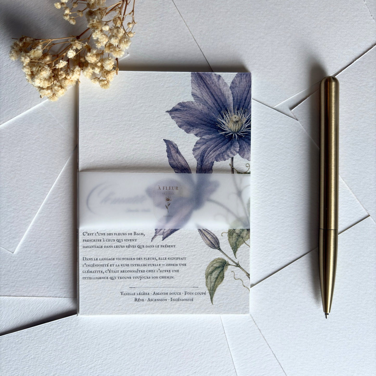 Cartes de correspondance — lot de 8 cartes & enveloppes