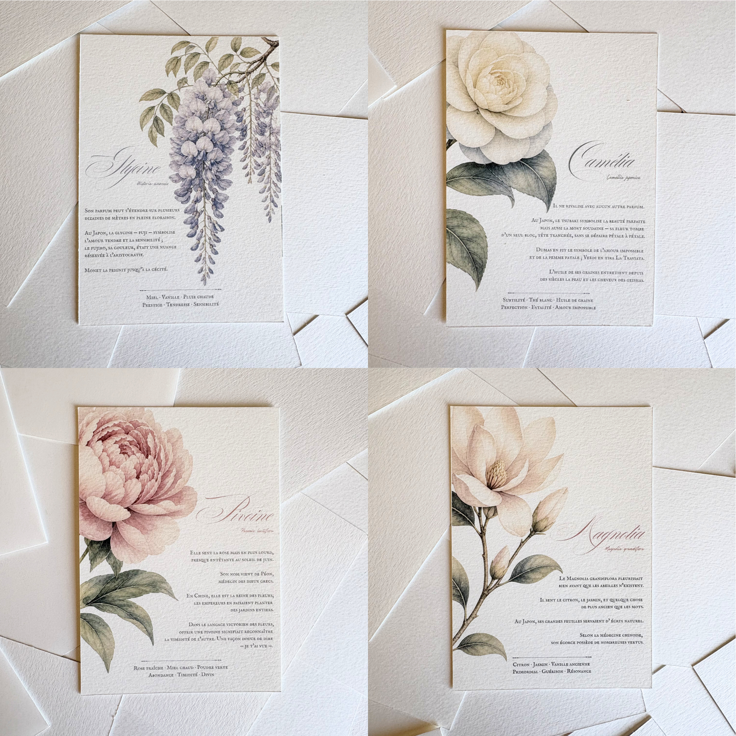 Cartes de correspondance — lot de 8 cartes & enveloppes