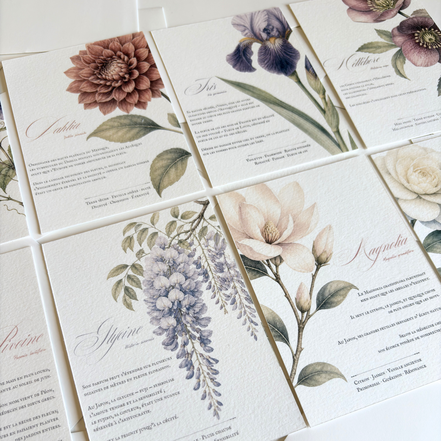 Cartes de correspondance — lot de 8 cartes & enveloppes