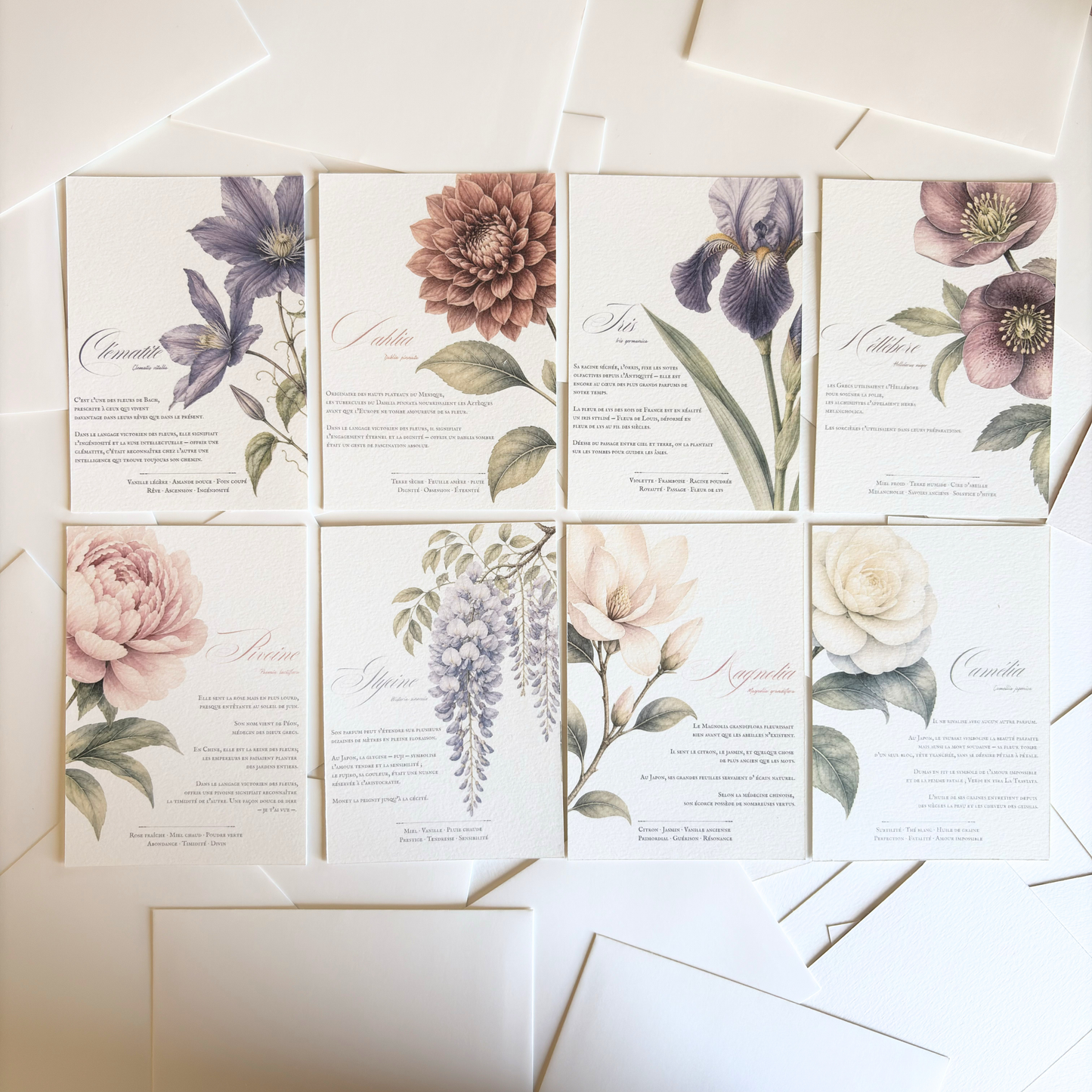Cartes de correspondance — lot de 8 cartes & enveloppes
